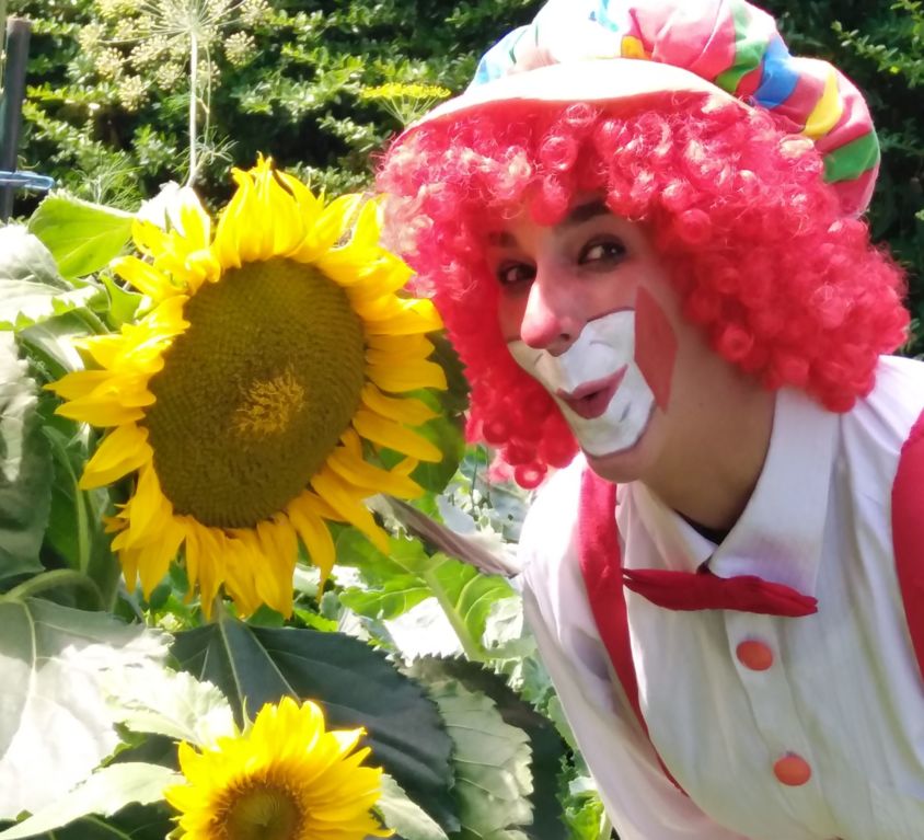 Clown